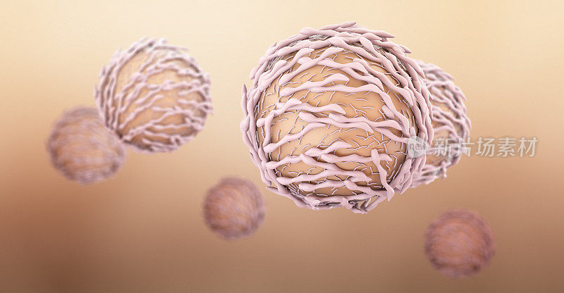 淋巴细胞,3 d插图。特写t细胞或b细胞